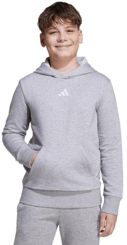 adidas Essentials bliuzonas su gobtuvu vaikams, pilkas JV9995