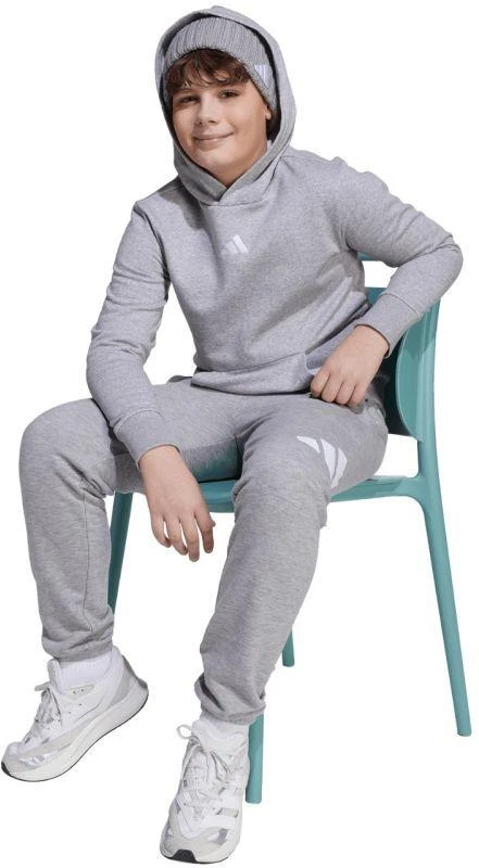 adidas Essentials bliuzonas su gobtuvu vaikams, pilkas JV9995