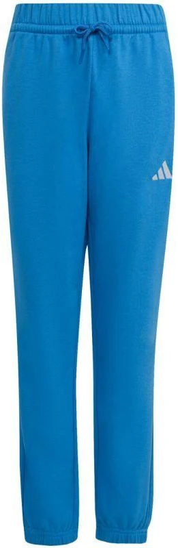 adidas Essentials vaikiškos kelnės, mėlynos, KS0379