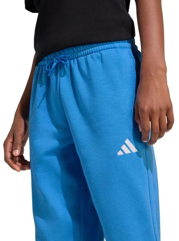 adidas Essentials vaikiškos kelnės, mėlynos, KS0379