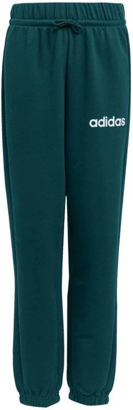 Adidas Essentials žalias vaikams sportinis kostiumas JN2427