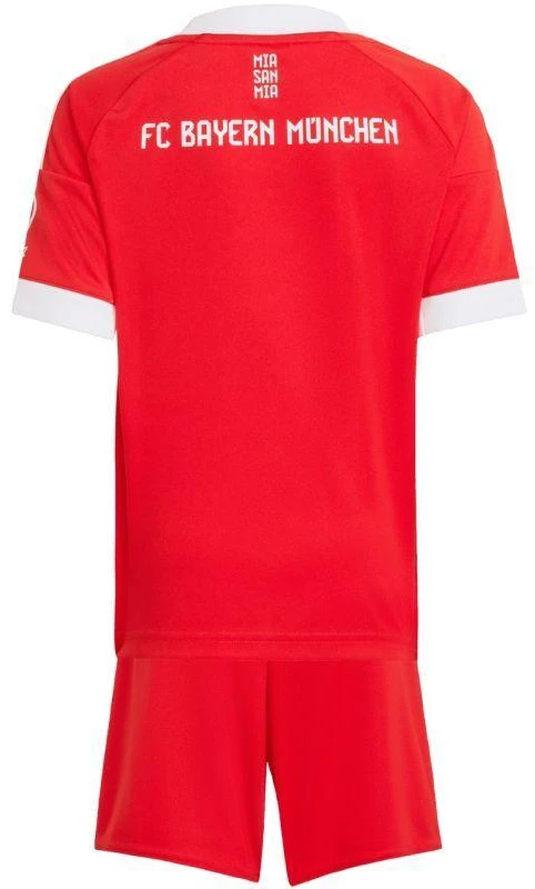 adidas FC Bayern 25/26 Namų raudonas JN8510 vaikiškas sportinis komplektas