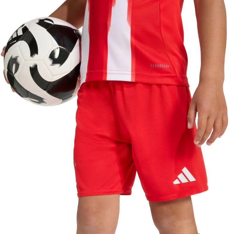 adidas FC Bayern 25/26 Namų raudonas JN8510 vaikiškas sportinis komplektas