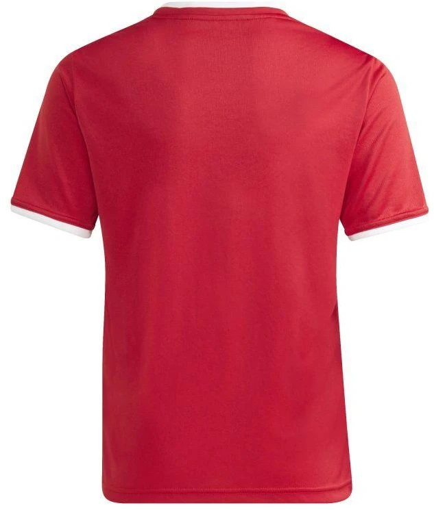 adidas Jaunimo Entrada 26 Marškinėliai JZ2523