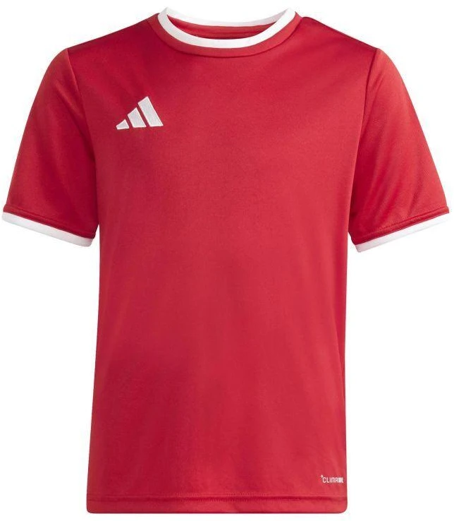 adidas Jaunimo Entrada 26 Marškinėliai JZ2523