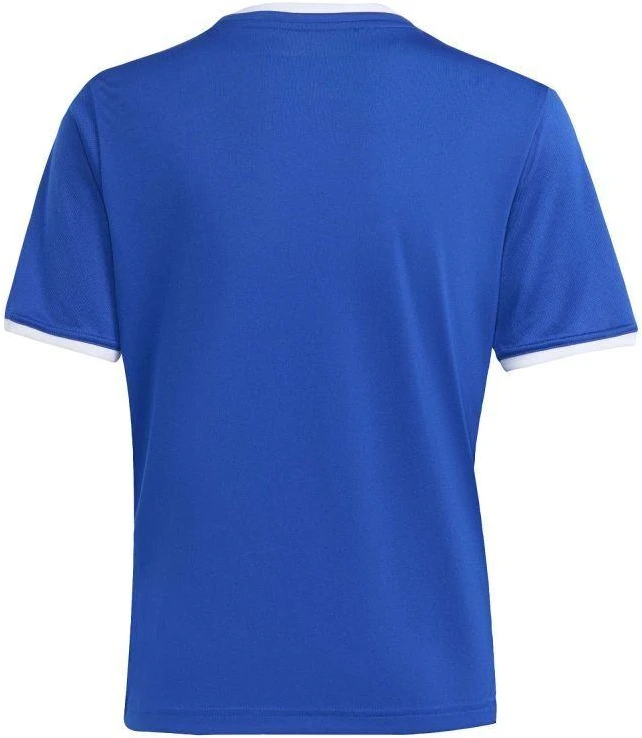 adidas Jaunimo Entrada 26 Marškinėliai JZ2531