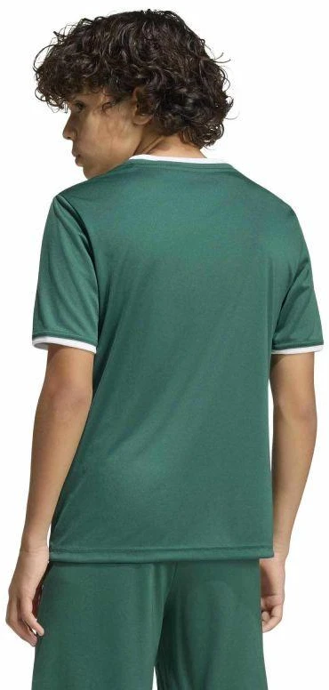 adidas Jaunimo marškinėliai Entrada 26 KE9834