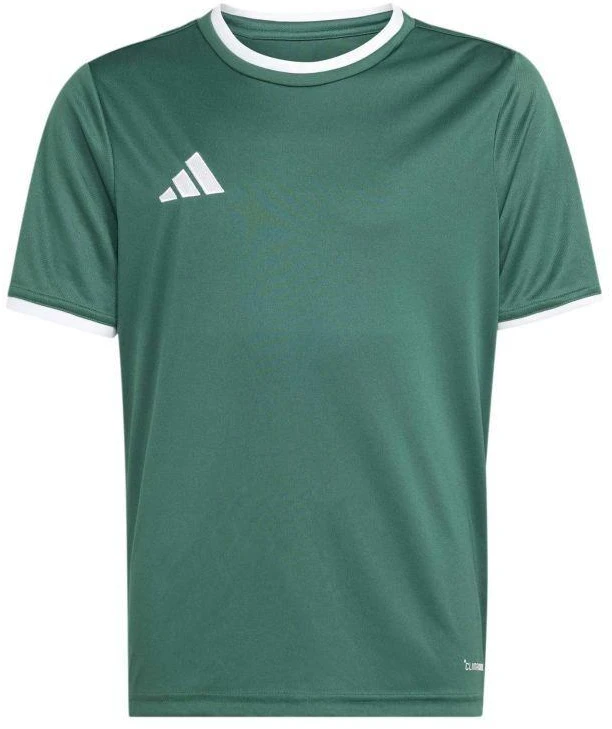 adidas Jaunimo marškinėliai Entrada 26 KE9834