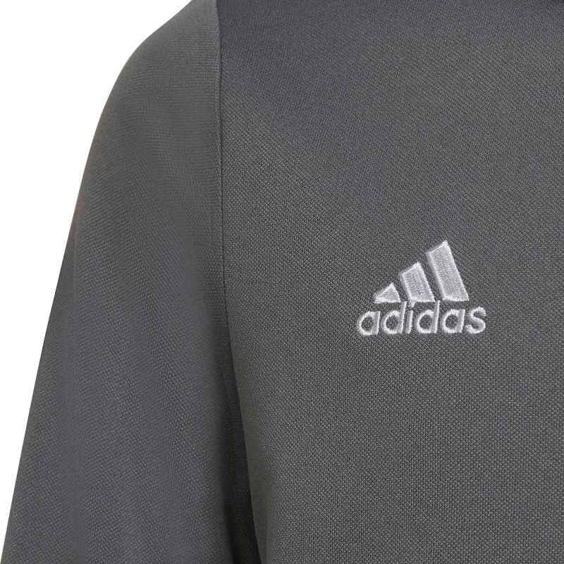 Adidas Junior Entrada 22 sportinio kostiumo kelnės Jr H57521