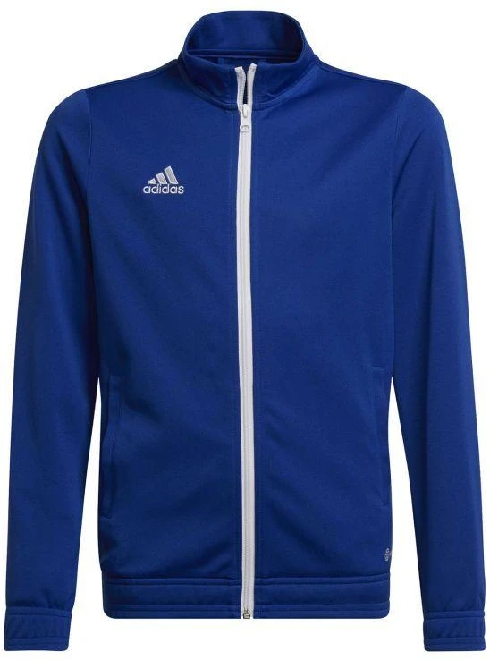 Adidas Junior Entrada 22 sportinis džemperis Jr HG6288
