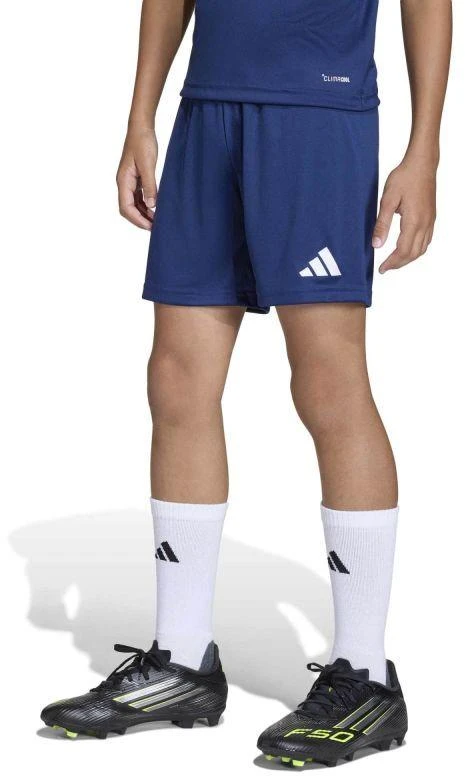 adidas Junior Entrada 26 JZ6532 šortai