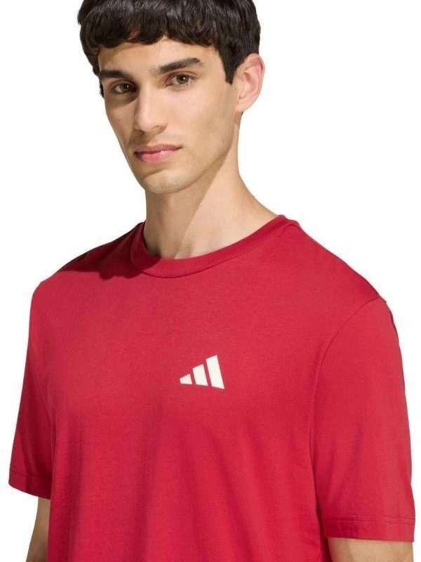adidas Lauko kalnų dviračių sporto grafiniai vyriški marškinėliai Raudoni KB2538