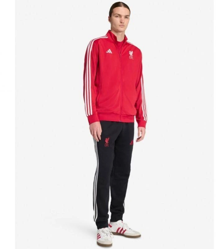 adidas Liverpool LFC DNA bliuzonas JW7892
