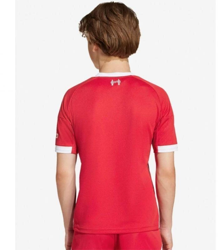 „adidas Liverpool LFC Home Jr JV6436 marškiniai“