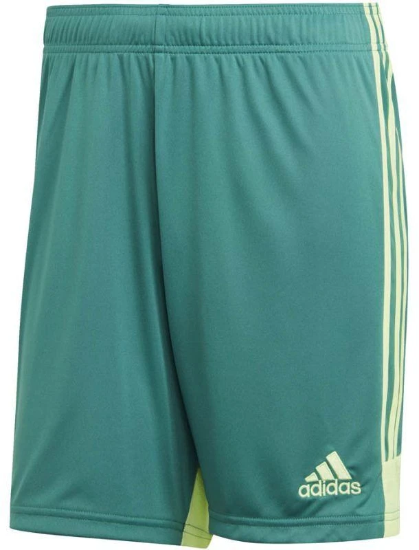 adidas M Tastigo 19 Šortai DP3251