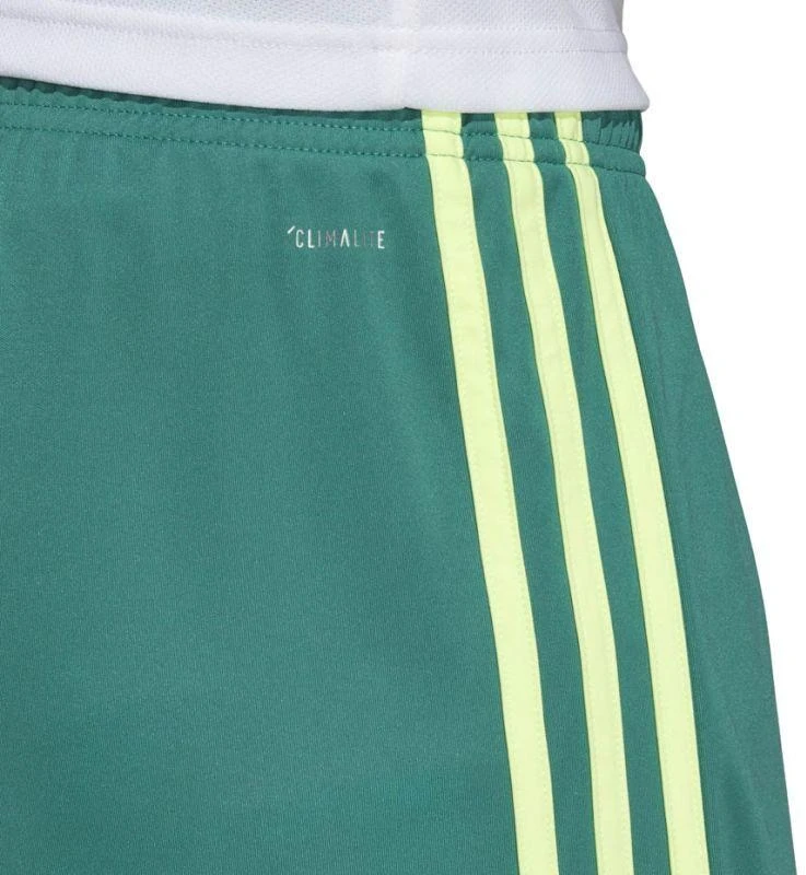adidas M Tastigo 19 Šortai DP3251