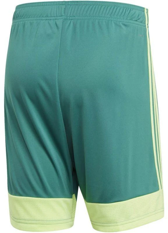 adidas M Tastigo 19 Šortai DP3251