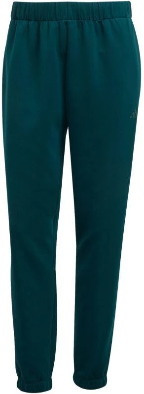 adidas Moteriškos Jogaus Pagrindų Kelnės Žalios JY2812