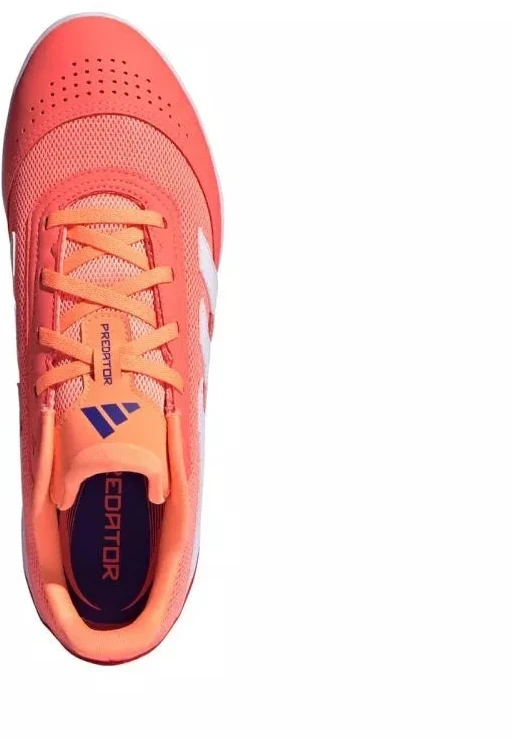 adidas Predator Club IN Salės futbolo bateliai JH8856