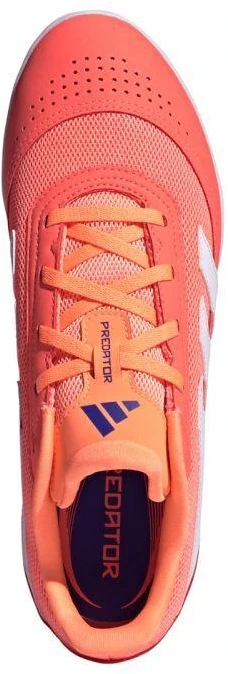 adidas Predator Club IN Salės futbolo bateliai JH8856