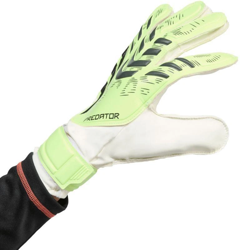 adidas Predator Training M JN5356 vartininko pirštinės