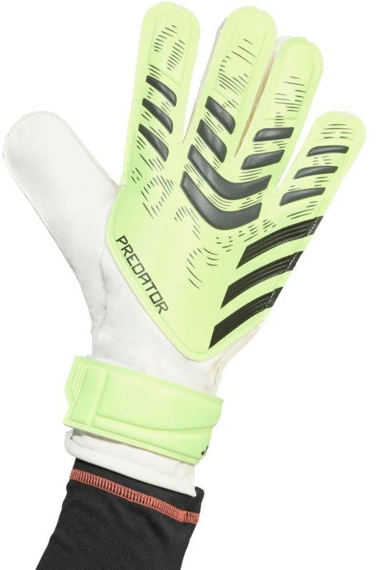 adidas Predator Training M JN5356 vartininko pirštinės