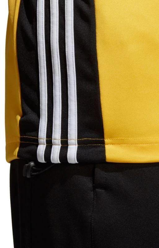 Adidas Regista 18 M treniruočių džemperis CZ8648