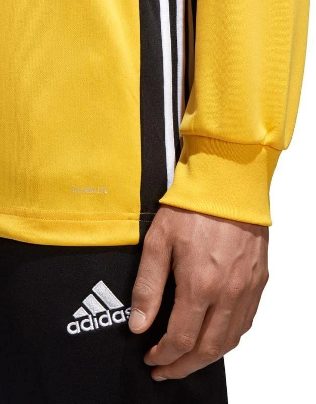 Adidas Regista 18 M treniruočių džemperis CZ8648