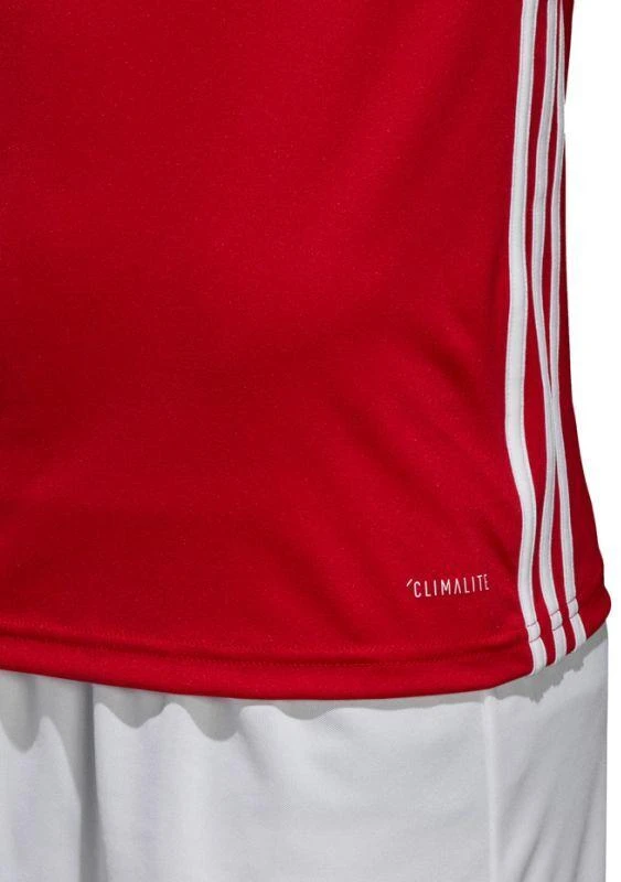 Adidas Regista 18 Marškinėliai M CE1713
