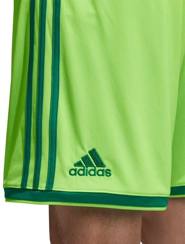 Adidas Regista 18 Šortai M CF9598 šortai