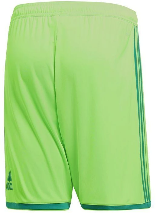Adidas Regista 18 Šortai M CF9598 šortai