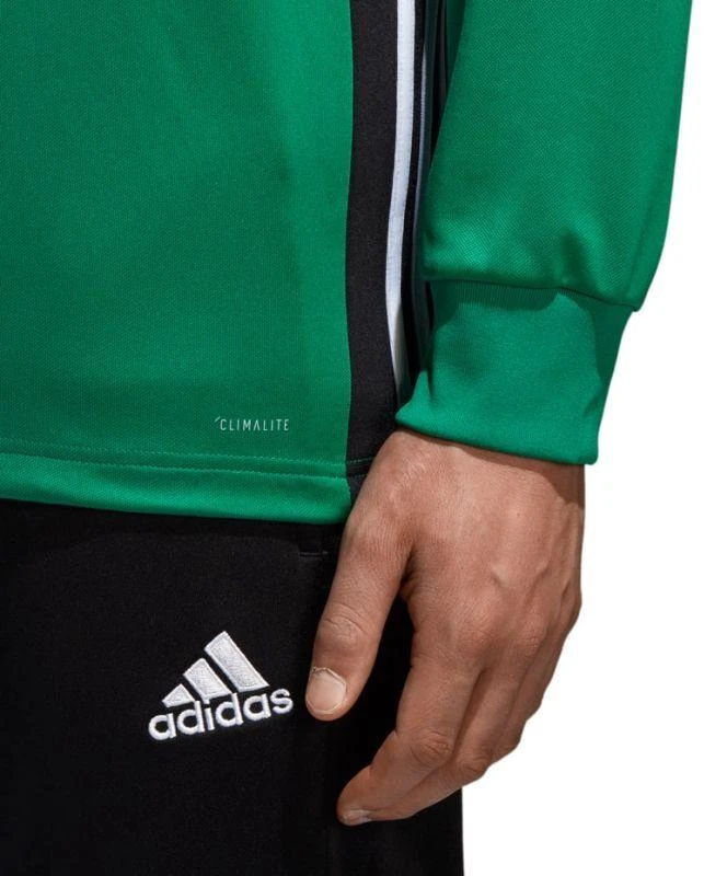 Adidas Regista 18 Treniruočių džemperis M DJ2177