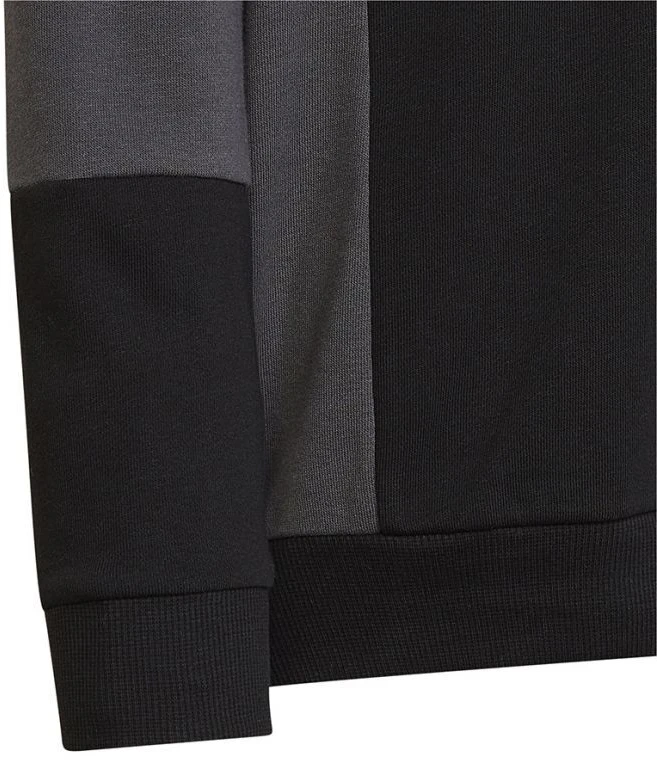 Adidas Spalvų Blokų Džemperis su Gobtuvu Jr HN8563