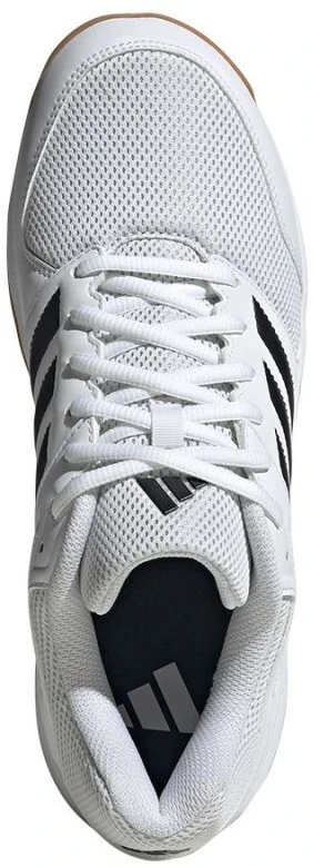 adidas Speedcourt M IE8032 tinklinio sporto bateliai