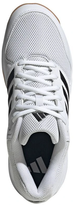 adidas Speedcourt M IE8032 tinklinio sporto bateliai