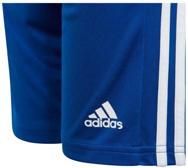 Adidas Squadra 21 Jr GK9156 šortai