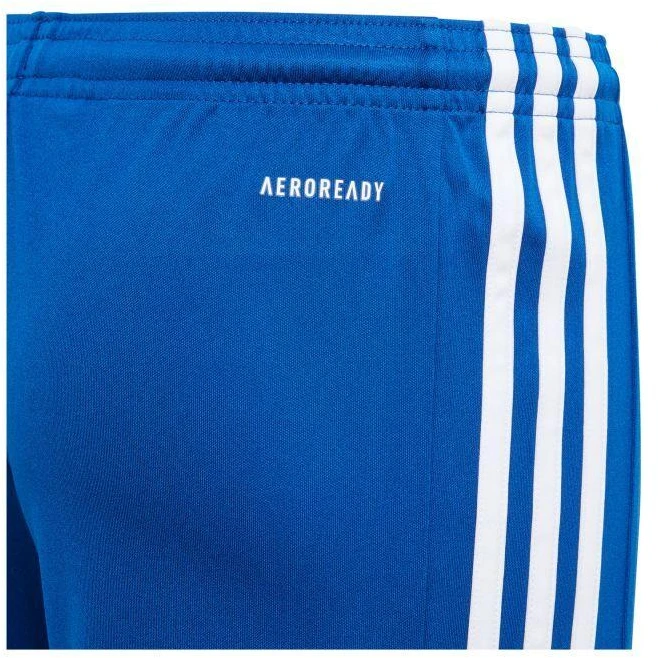 Adidas Squadra 21 Jr GK9156 šortai
