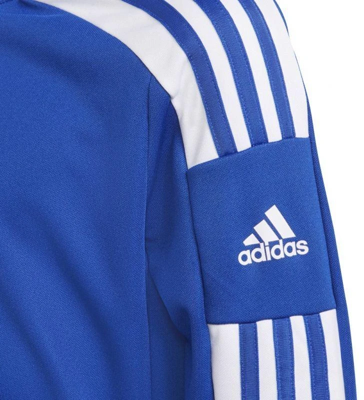 Adidas Squadra 21 Jr GP6469 džemperis