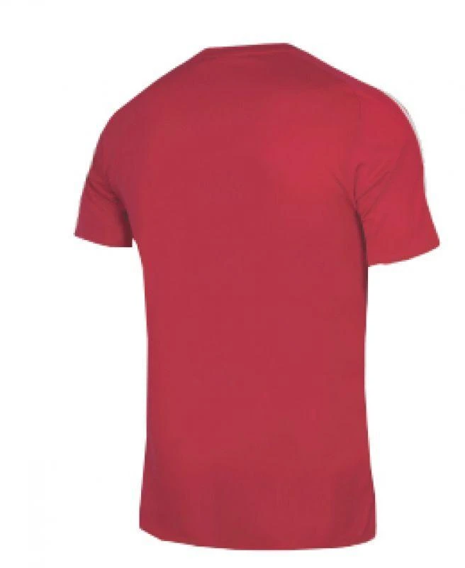 adidas Squadra 21 JSY M GN5722 futbolo marškinėliai