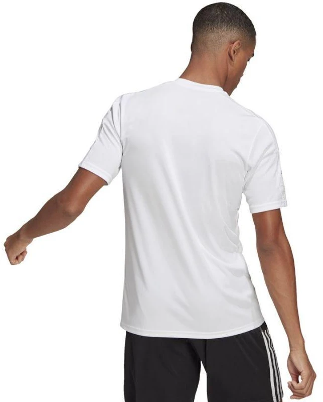 Adidas Squadra 21 JSY M GN5726 Marškinėliai