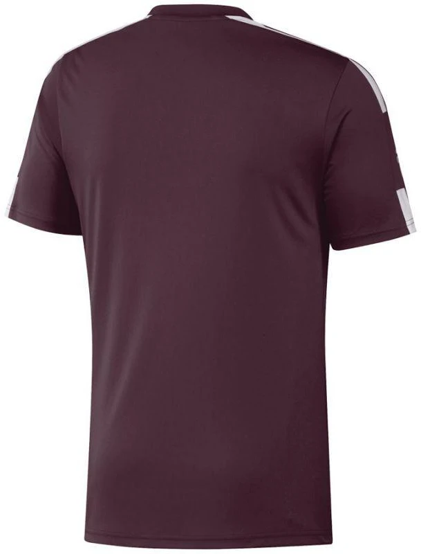 Adidas Squadra 21 JSY M GN8091 Marškinėliai