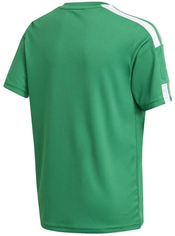 Adidas Squadra 21 JSY Y Jr Marškinėliai GN5743