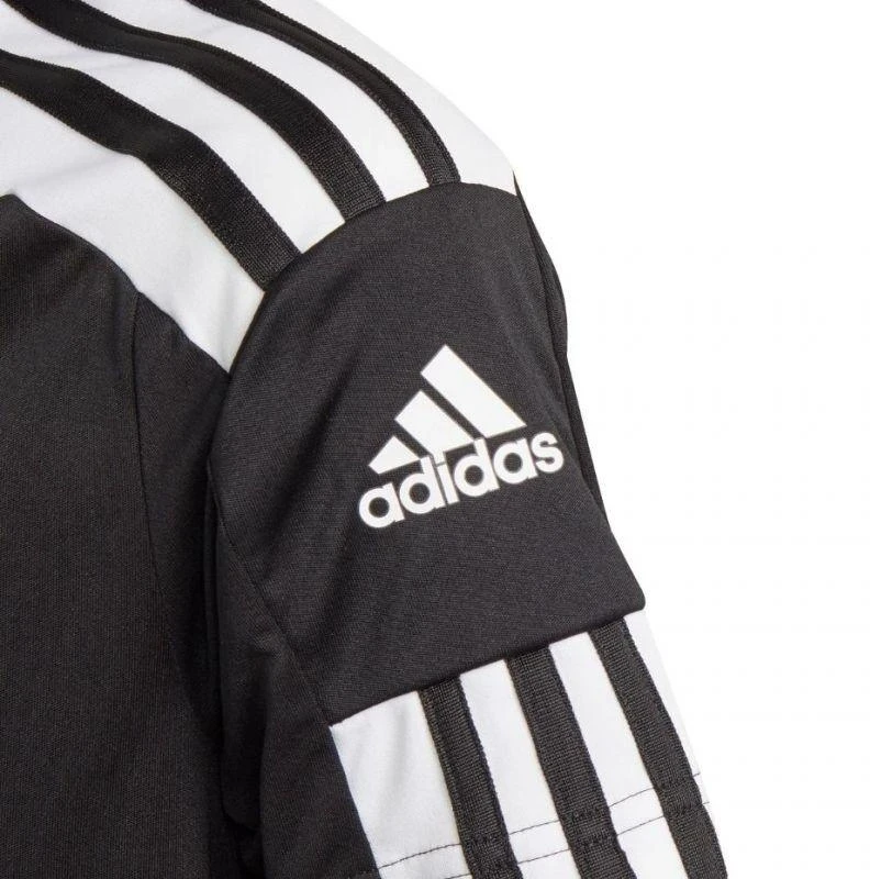 adidas Squadra 21 Polo Jr GK9558