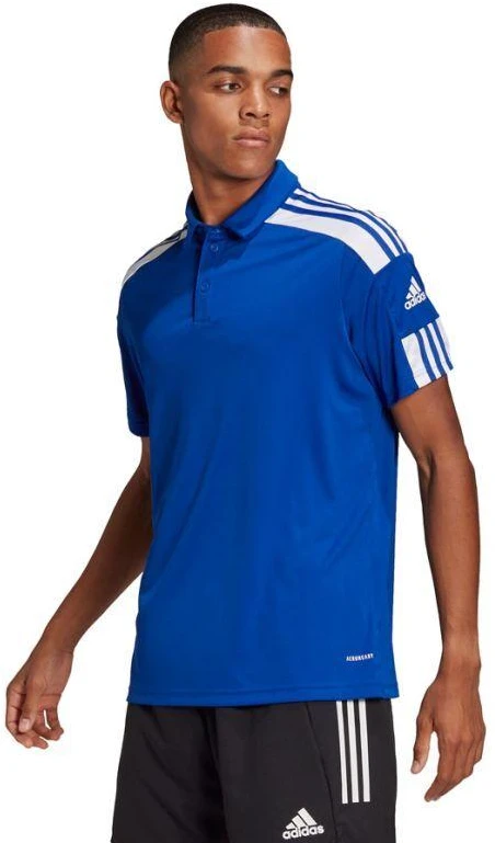 adidas Squadra 21 Polo M GP6427 futbolo marškinėliai