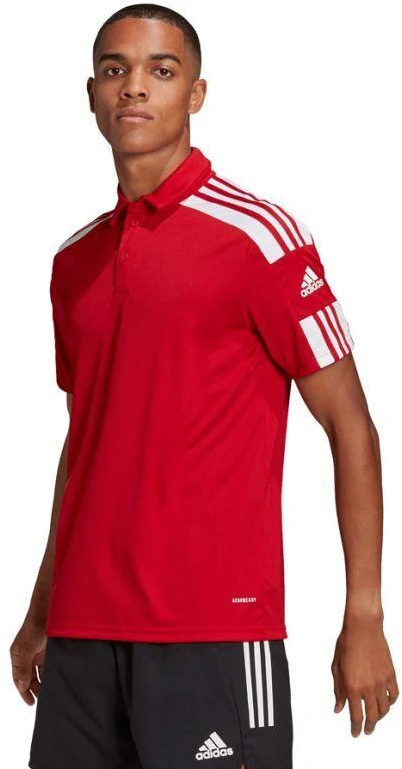 adidas Squadra 21 Polo Marškinėliai M GP6429