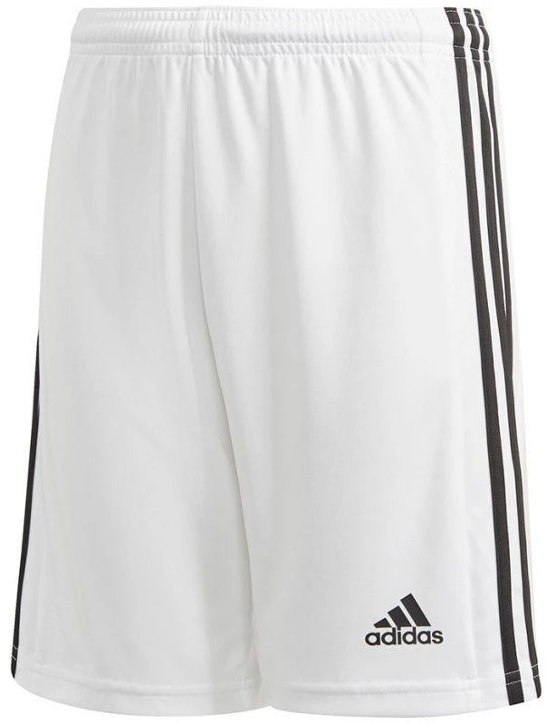 Adidas Squadra 21 šortai jaunimo Jr GN5766