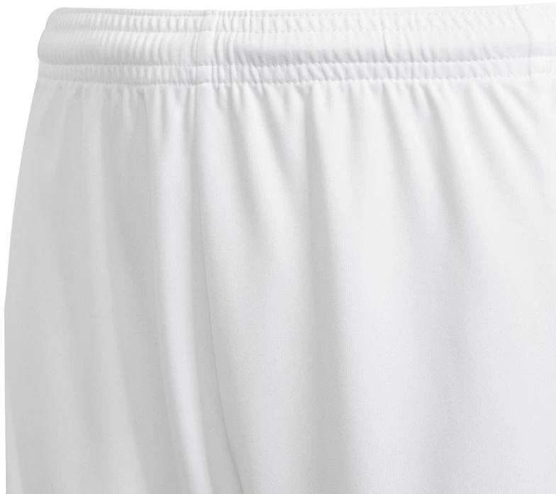 Adidas Squadra 21 šortai jaunimo Jr GN5766