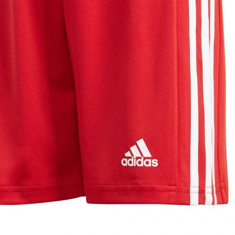 Adidas Squadra 21 Šortai Jaunimui Jr GN5761