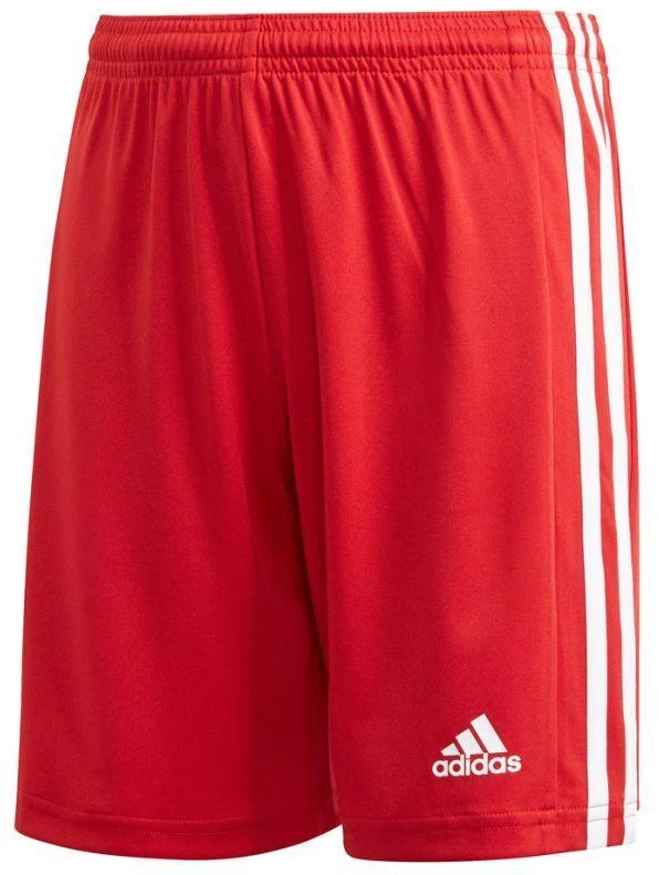 Adidas Squadra 21 Šortai Jaunimui Jr GN5761