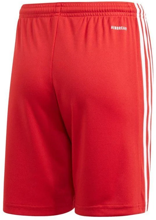 Adidas Squadra 21 Šortai Jaunimui Jr GN5761
